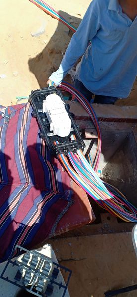 Fichier:Bpe-chambre-microtube1.jpeg