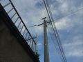 Cables poteau.JPG