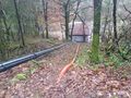 IMG 5251.JPG